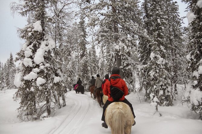 Horseback Riding Tour in Levi - Meeting Point and Time