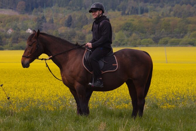 Horseback Riding Tour in Prague - Whats Included