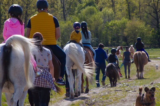 Horseback Riding Tour in Prague - Traveler Experience