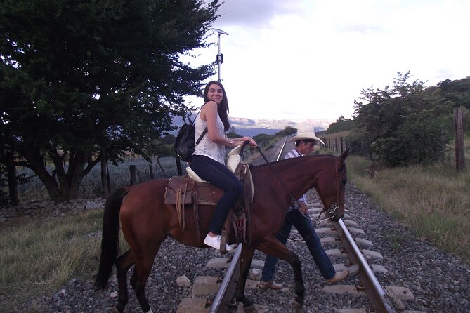 Horseback Riding Tour in the Agave Field With Lunch - Meeting and Pickup