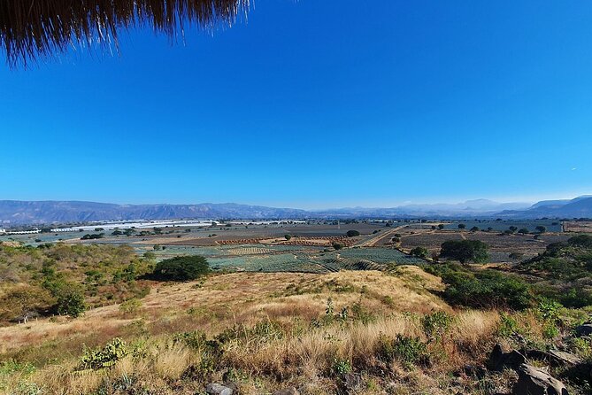 Horseback Riding Tour in the Agave Field With Lunch - Health and Safety