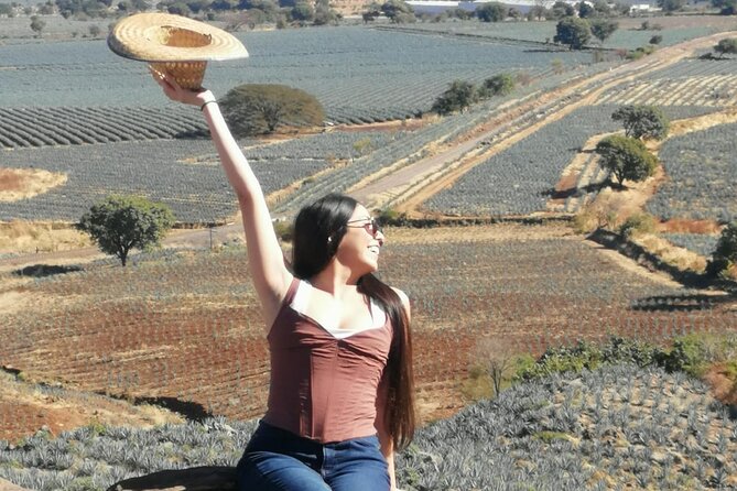 Horseback Riding Tour in the Agave Field With Lunch - Included Amenities
