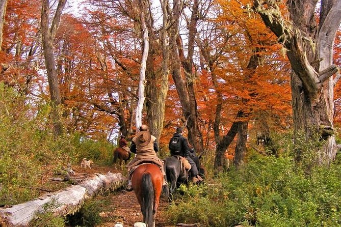 Horseback Riding Tour: Lanin National Park and Mapuche Culture - Horseback Riding Highlights