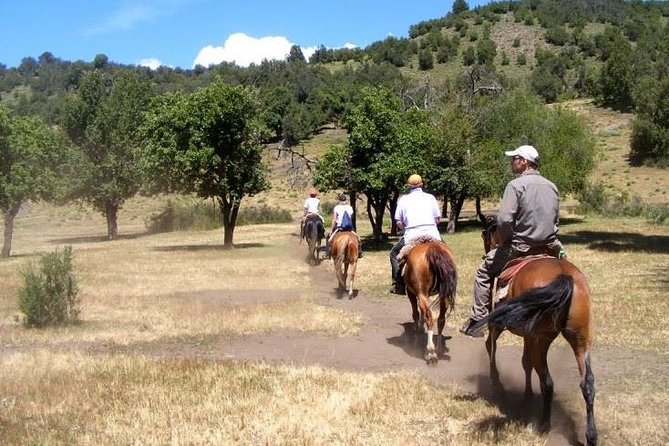 Horseback Riding Tour: Lanin National Park and Mapuche Culture - Practical Considerations