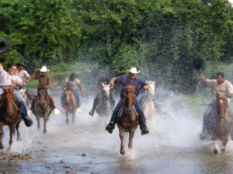 Horseback Riding Tour of Punta Cana - Experience Highlights