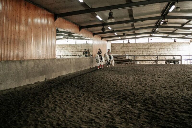 Horseback Riding Tour - Activity Description