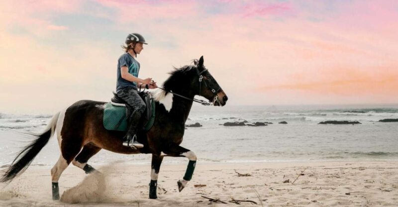 Horseback Riding Tour - Price and Inclusions