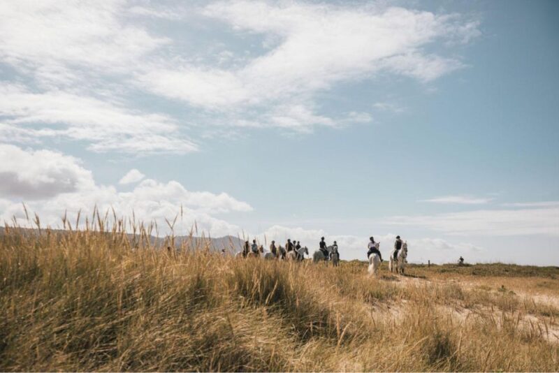 Horseback Riding Tour - Participant Restrictions