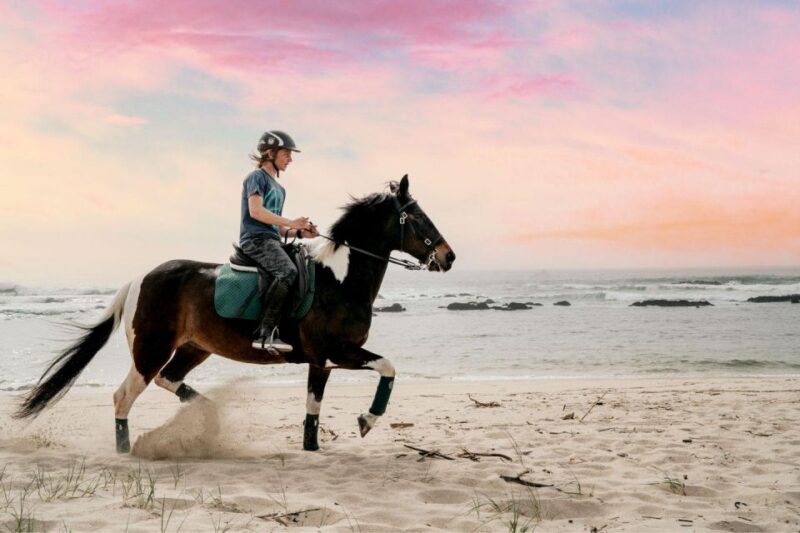 Horseback Riding Tour - What to Bring
