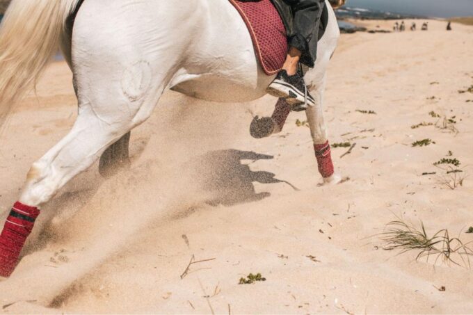 Horseback Riding Tour - Meeting Point