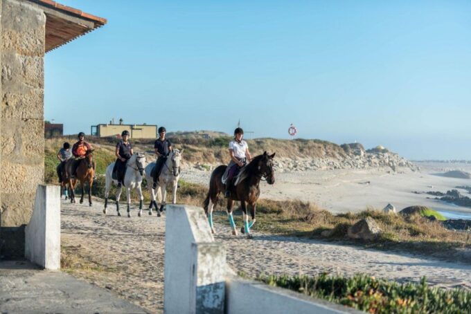 Horseback Riding Tour - Customer Feedback