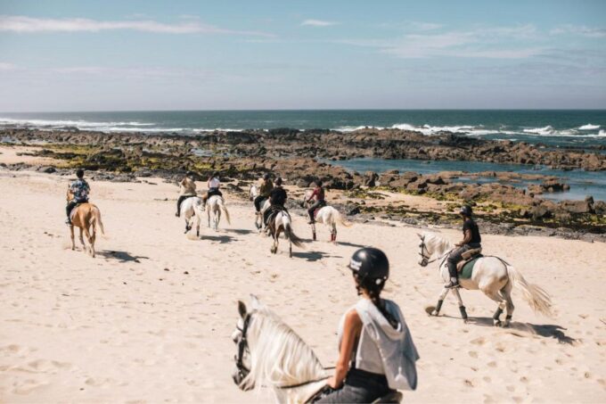 Horseback Riding Tour - Reservation and Cancellation