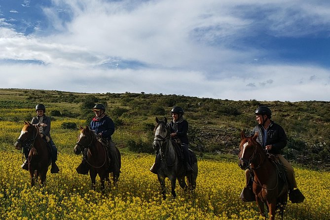 Horseback Riding Tour to the Devils Balcony From Cusco - Care and Training of Horses