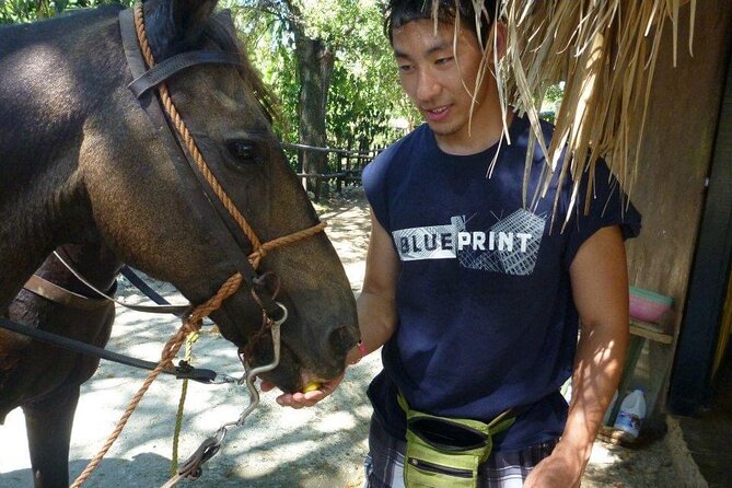 Horseback Riding Tours by the Beach - Guided Experiences