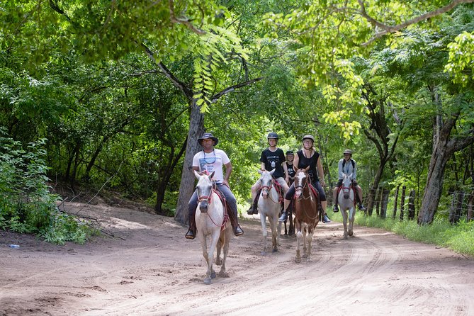 Horseback Riding Tours in Brasilito - Key Points