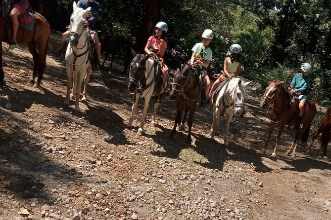 Horseback Riding Tours on the Beach, Mountain - Tour Overview