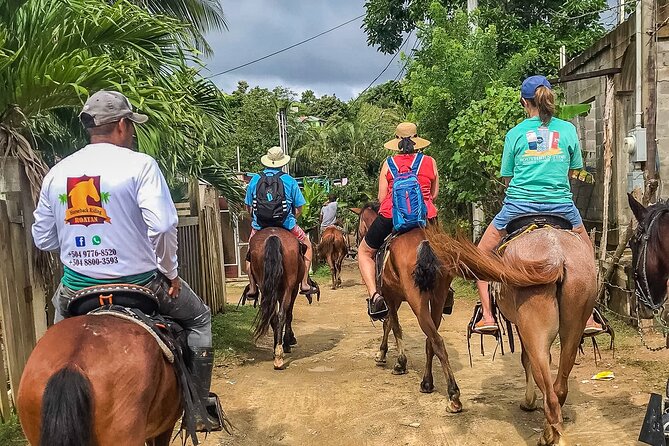 Horseback Riding Trail Tour, Roatan Letters and Ocean in Flowers Bay - Diverse Landscapes