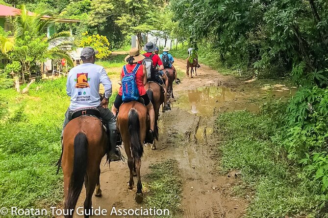 Horseback Riding Trail Tour, Roatan Letters and Ocean in Flowers Bay - Safety and Accessibility