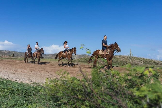 Horseback Riding Wariruri Beach Tour in Aruba - Tour Experience