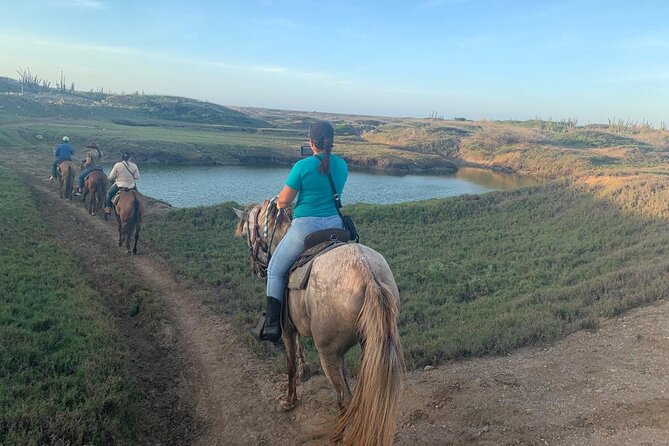 Horseback Riding Wariruri Beach Tour in Aruba - Customer Reviews
