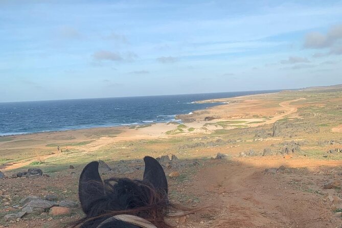 Horseback Riding Wariruri Beach Tour in Aruba - Scenic Views of Wariruri