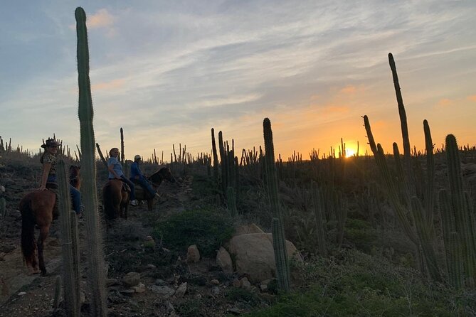 Horseback Riding Wariruri Beach Tour in Aruba - Varied Terrain Desired by Some