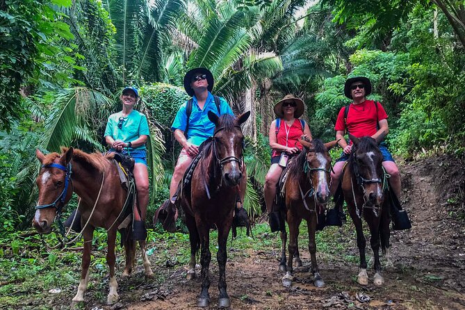 Horseback Riding + West End + Choco Factory + West Bay Day Pass @ Paradise Beach - Relaxation at Paradise Beach