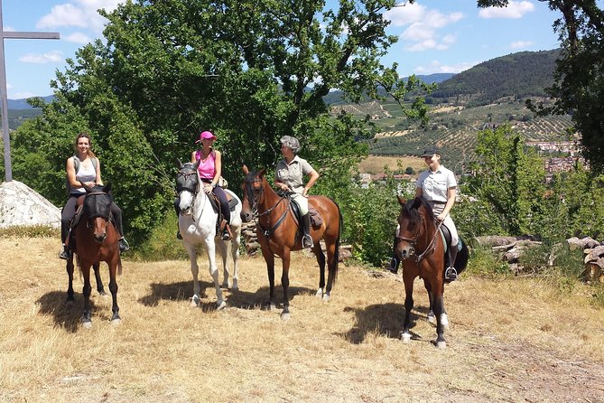 Horseback Riding & Wine Tasting and Snack Lunch at Noble Estate - Itinerary and Highlights