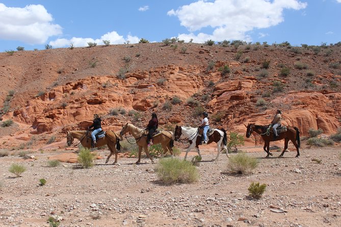 Horseback Riding With BBQ Lunch in Las Vegas - Important Considerations and Restrictions
