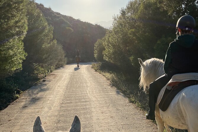 Horseback Riding With Certified Guide - Key Points
