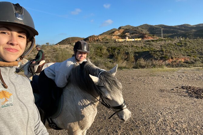 Horseback Riding With Certified Guide - Mixed Feedback and Ratings
