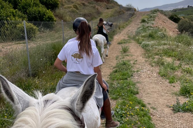 Horseback Riding With Certified Guide - Scenic Trails and Horse Care