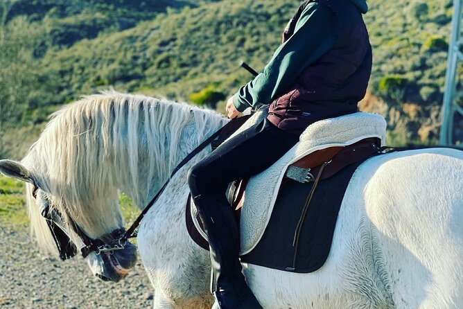 Horseback Riding With Certified Guide - Tour Pricing and Value