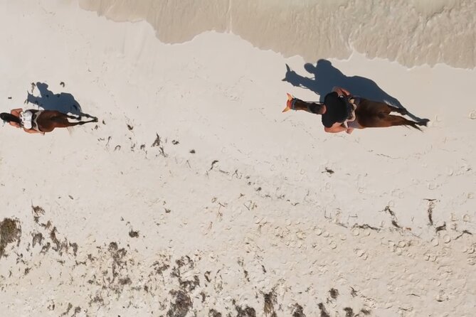 Horseback Riding With Drone Photos & Videos - Overview of the Horseback Riding Tour