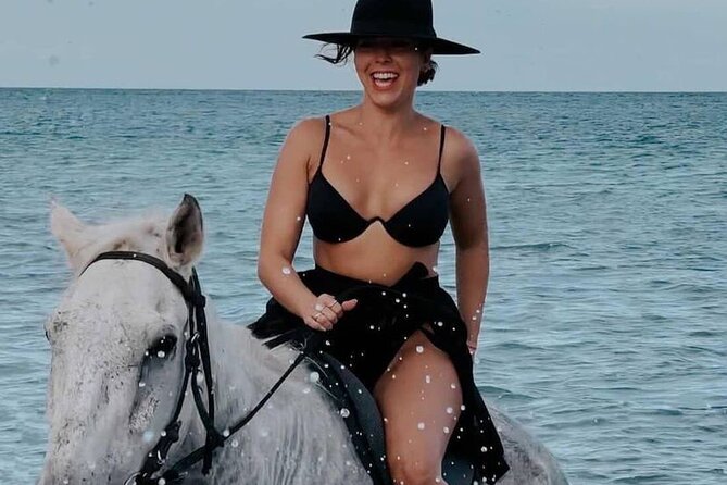 Horseback Riding With Drone Photos & Videos - About the Tour Operator