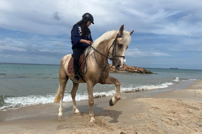 Horseback Riding With Private Transfer - Tour Details