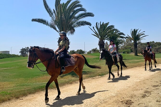 Horseback Riding With Private Transfer - What to Expect