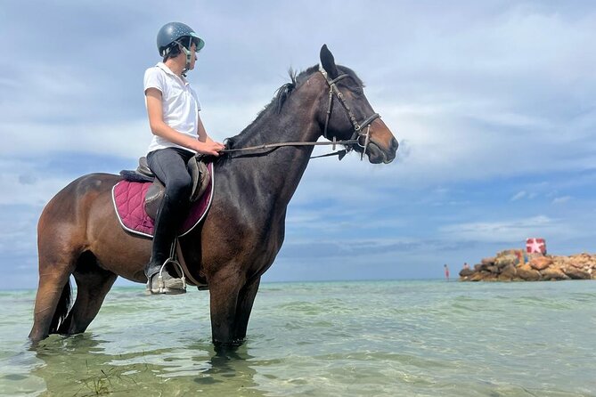 Horseback Riding With Private Transfer - Inclusions and Exclusions