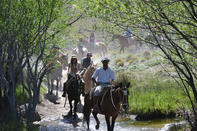 Horseback Riding With Traditional Asado and Wine From Bariloche - Key Points