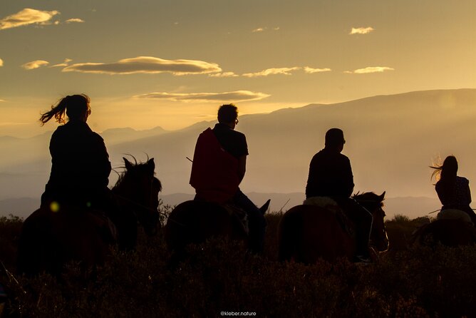 Horseback Riding With Traditional Asado and Wine From Mendoza - Dining and Refreshments