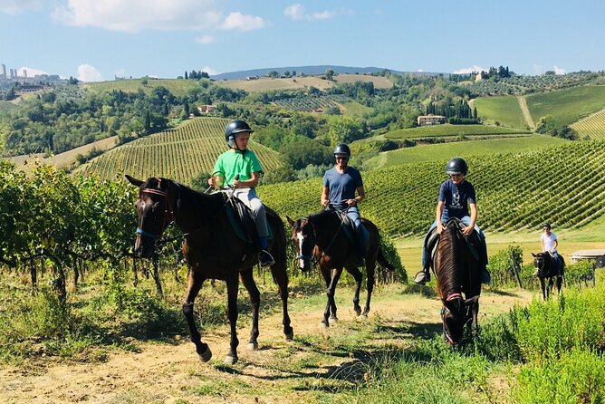 Horseback Riding With Wine Tour From Florence - Transportation and Accessibility