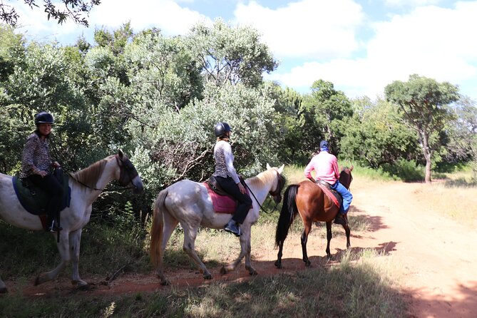 Horseback Safari Adventure in Hartbeespoort From Johannesburg - Tour Details