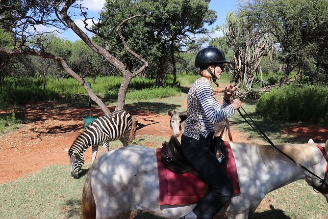 Horseback Safari Adventure in Hartbeespoort From Johannesburg - Health and Accessibility