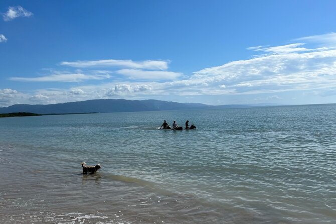 Horseback “Special”- Negril'S Beach Ride N' Swim With Free Photos/Videos - Cancellation Policy