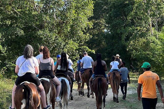 Horseback “Special”- Negril'S Beach Ride N' Swim With Free Photos/Videos - Recommendations