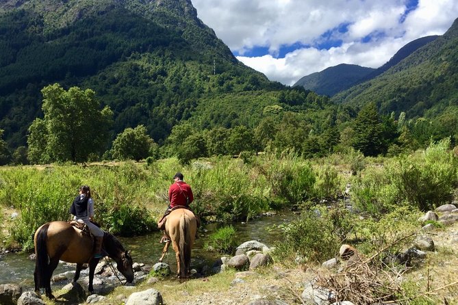 Horseback Trailride Excursion - Meeting Point