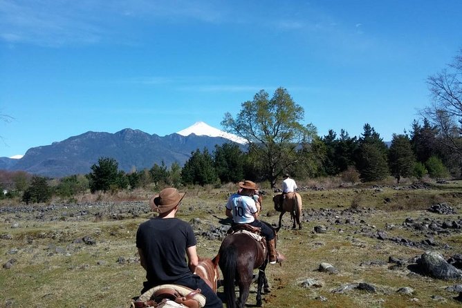 Horseback Trailride Excursion - Weight Limit for Riders