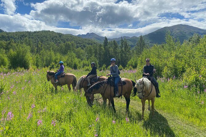 Horseback & Zipline Adventure in Alaska Mountains includes Lunch - Key Points