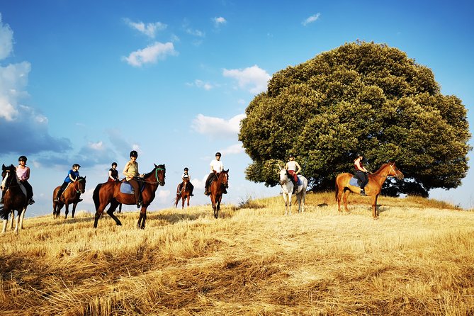 Horsebackriding - Explore Tuscan Nature - Customer Ratings and Reviews
