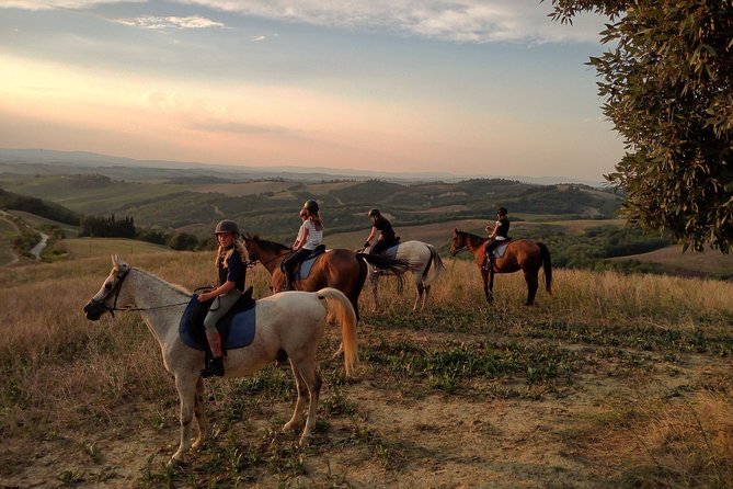 Horsebackriding - Explore Tuscan Nature - Cancellation Policy and Booking